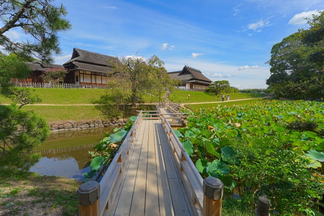 意外！公園での勉強のメリット・デメリット